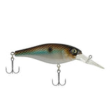 Bad Shad Hard Bait Lure