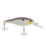 Bad Shad Hard Bait Lure