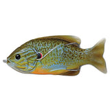 Sunfish Hollow Body