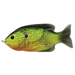 Sunfish Hollow Body