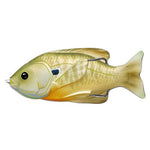 Sunfish Hollow Body