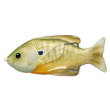 Sunfish Hollow Body