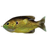 Sunfish Hollow Body