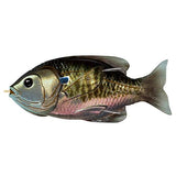 Sunfish Hollow Body