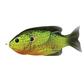 Sunfish Hollow Body