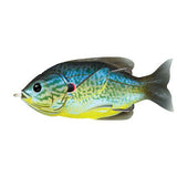 Sunfish Hollow Body