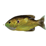 Sunfish Hollow Body