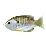 Sunfish Hollow Body
