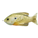 Sunfish Hollow Body