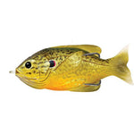 Sunfish Hollow Body