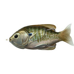 Sunfish Hollow Body