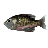 Sunfish Hollow Body