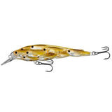 Yearling Baitball Jerkbait