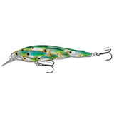 Yearling Baitball Jerkbait