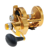 Torque Lever Drag 2 Speed Conventional Reel