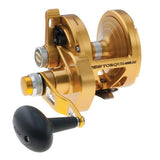Torque Lever Drag 2 Speed Conventional Reel
